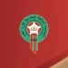 اللجنة المركزية للتأديب تصدر سيلا من العقوبات للجديدة في حق بعض فرق البطولة الاحترافية