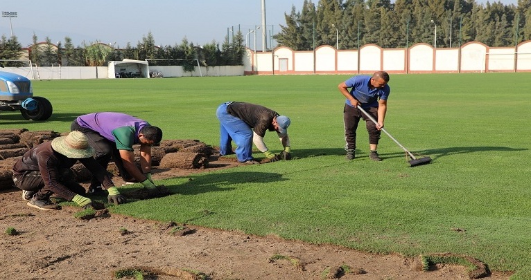 طماطم المغرب وملاعب الجزائر