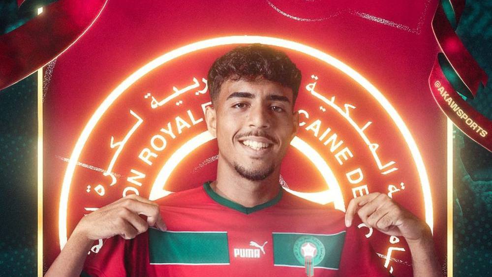 شادي رياض