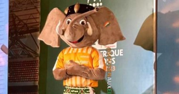 الكشف عن تميمة كأس أمم إفريقيا 2023