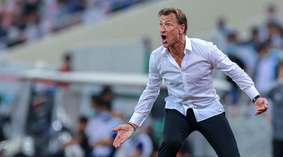 الاتحاد المصري يفتح قنوات التواصل مع هيرفي رونارد لقيادة الفراعنة ..