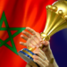 “كأس إفريقيا المغرب 2025”.. تأجيل إقامة البطولة إلى يناير 2026